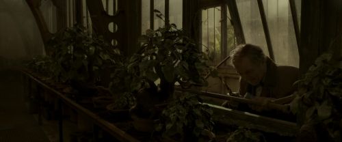 EdP-Potterish9997.jpg