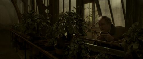 EdP-Potterish9999.jpg