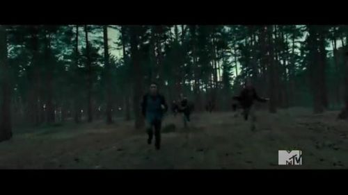 Frame1261~1.jpeg