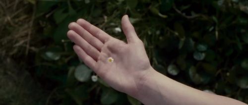 HP7-2-Potterish-TeaserTrailer-13.jpg