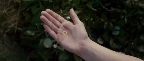 HP7-2-Potterish-TeaserTrailer-15.jpg