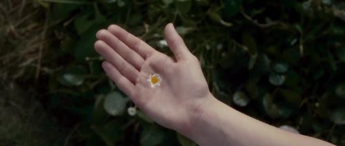 HP7-2-Potterish-TeaserTrailer-17.jpg
