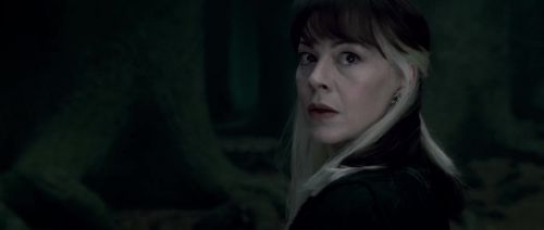 Click to view full size image
==============
HP7-2-Potterish-TeaserTrailer-186.jpg HP7-2-Potterish-TeaserTrailer-186.jpg