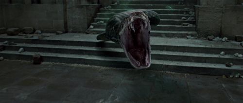 HP7-2-Potterish-TeaserTrailer-210.jpg