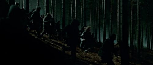 HP7-2-Potterish-TeaserTrailer-275.jpg