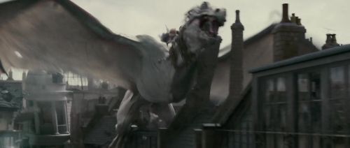 HP7-2-Potterish-TeaserTrailer-349.jpg