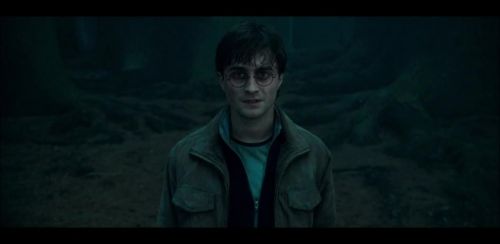 Click to view full size image
==============
HP72-Potterish-CenaInicial-51.jpg HP72-Potterish-CenaInicial-51.jpg