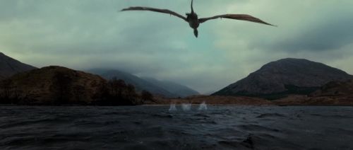 Click to view full size image
==============
HP72-TrailerInternacional-Potterish-180.jpg HP72-TrailerInternacional-Potterish-180.jpg