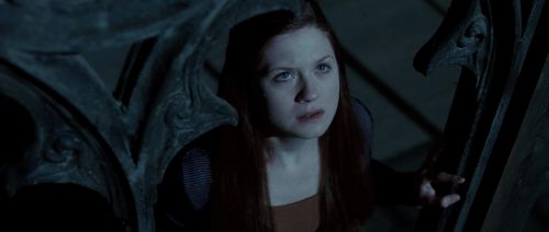 HP72-TrailerInternacional-Potterish-253.jpg