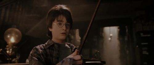 HP72-TrailerInternacional-Potterish-29.jpg