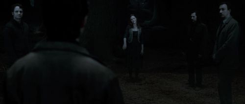 HP72-TrailerInternacional-Potterish-388.jpg