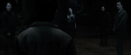 HP72-TrailerInternacional-Potterish-391.jpg
