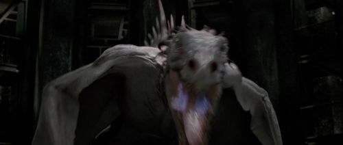 HP72-TrailerInternacional-Potterish-603.jpg