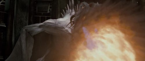 HP72-TrailerInternacional-Potterish-606.jpg