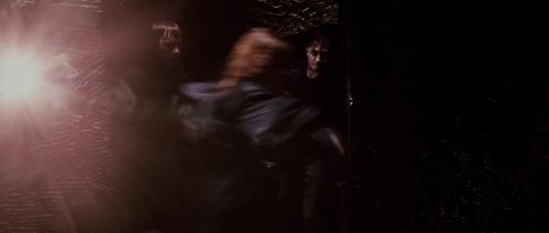 HP72-TrailerInternacional-Potterish-626.jpg