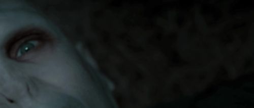 HP72-TrailerInternacional-Potterish-79.jpg