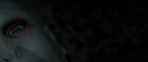 HP72-TrailerInternacional-Potterish-80.jpg