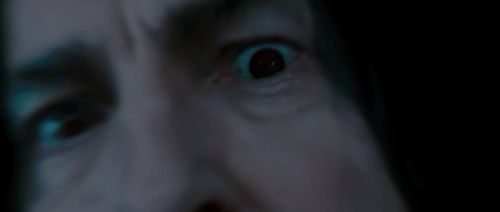 HP72-TrailerInternacional-Potterish-93.jpg