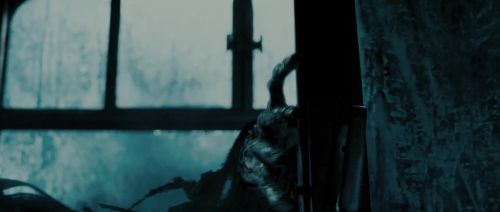 HP72-TrailerInternacional-Potterish-94.jpg