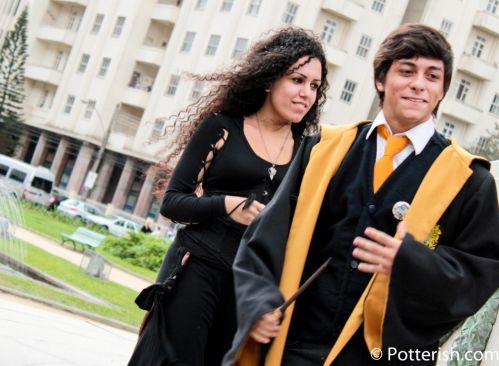 Click to view full size image
==============
IMG_7329-2.jpg IMG_7329-2.jpg