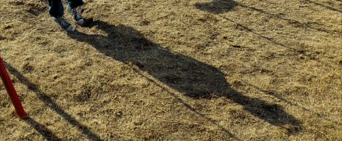 OdF-Potterish_0088.jpg
