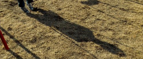 OdF-Potterish_0089.jpg