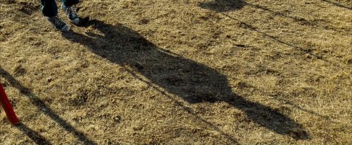 OdF-Potterish_0090.jpg