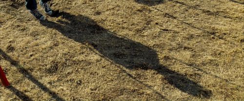 OdF-Potterish_0091.jpg