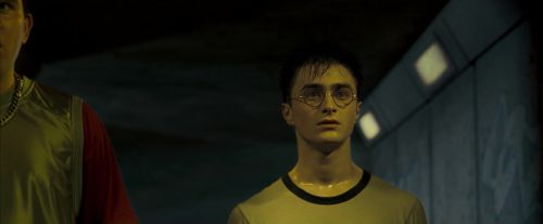 Click to view full size image
==============
OdF-Potterish_0246.jpg OdF-Potterish_0246.jpg