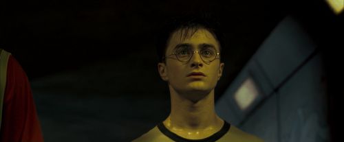Click to view full size image
==============
OdF-Potterish_0249.jpg OdF-Potterish_0249.jpg