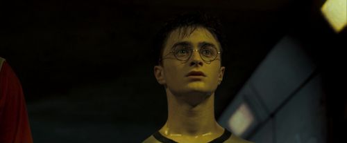 OdF-Potterish_0250.jpg