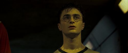 Click to view full size image
==============
OdF-Potterish_0251.jpg OdF-Potterish_0251.jpg