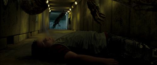 Click to view full size image
==============
OdF-Potterish_0285.jpg OdF-Potterish_0285.jpg