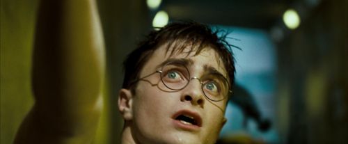 Click to view full size image
==============
OdF-Potterish_0310.jpg OdF-Potterish_0310.jpg