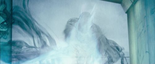 Click to view full size image
==============
OdF-Potterish_0320.jpg OdF-Potterish_0320.jpg