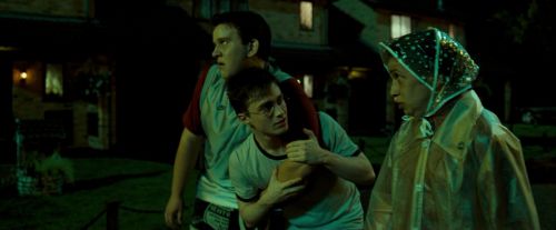 Click to view full size image
==============
OdF-Potterish_0375.jpg OdF-Potterish_0375.jpg