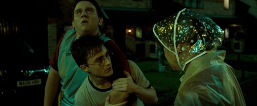 Click to view full size image
==============
OdF-Potterish_0385.jpg OdF-Potterish_0385.jpg