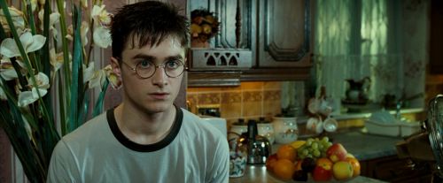 Click to view full size image
==============
OdF-Potterish_0433.jpg OdF-Potterish_0433.jpg
