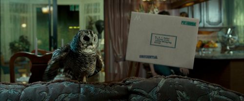 OdF-Potterish_0468.jpg