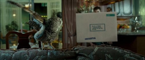 Click to view full size image
==============
OdF-Potterish_0469.jpg OdF-Potterish_0469.jpg