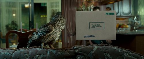 OdF-Potterish_0470.jpg