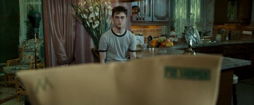 OdF-Potterish_0486.jpg