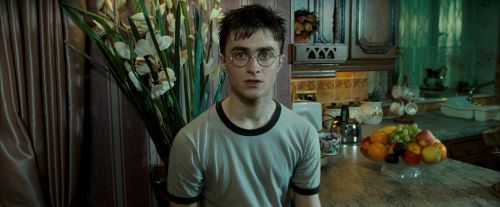 Click to view full size image
==============
OdF-Potterish_0500.jpg OdF-Potterish_0500.jpg