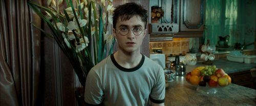 OdF-Potterish_0501.jpg