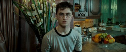 OdF-Potterish_0503.jpg