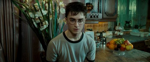 OdF-Potterish_0511.jpg