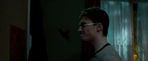 Click to view full size image
==============
OdF-Potterish_0536.jpg OdF-Potterish_0536.jpg