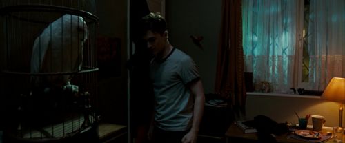 OdF-Potterish_0539.jpg