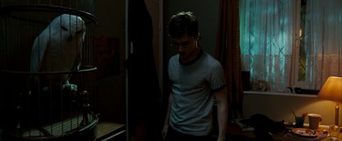Click to view full size image
==============
OdF-Potterish_0540.jpg OdF-Potterish_0540.jpg