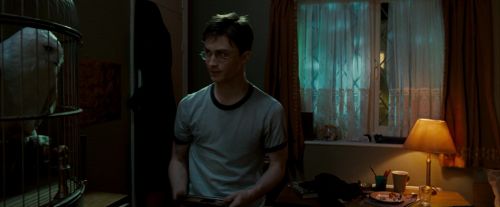 OdF-Potterish_0551.jpg